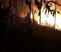 Hàng trăm người xuyên đêm cứu 20 hecta rừng ở Quảng Trị bị 'giặc lửa' tấn công