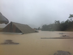 Ảnh: Nước ngập đến mái nhà, dân Quảng Bình sống lay lắt trong nhà chống lũ