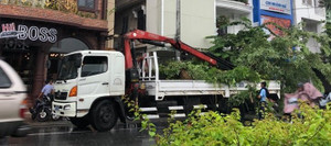 Kiểm điểm các cán bộ cho bứng cây sưa trước cửa nhà hàng đại gia xứ Huế