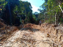 Xử nghiêm người tiếp tay cho lâm tặc xẻ núi mở đường xâm hại rừng nguyên sinh ở Huế