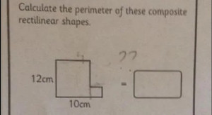 Bài toán của học sinh 10 tuổi khiến cử nhân kinh tế và giáo viên 'bó tay'