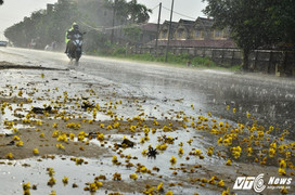 Phát hiện vật thể lạ ghi chữ Trung Quốc trôi dạt vào bờ biển Thừa Thiên Huế
