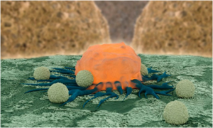 Những loại vũ khí mới trong cuộc chiến chống lại ung thư