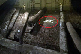 Thuyền phó tàu chở hàng người Trung Quốc bị gỗ đè chết trong hầm