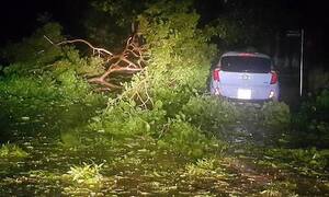 Bão số 2 quét qua Nghệ An - Hà Tĩnh, cây xanh bật gốc, nhà cửa tốc mái