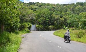 Đà Nẵng báo cáo về Sơn Trà: Bỏ qua 137 lô biệt thự của cá nhân