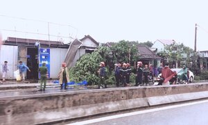 Bão số 10 tàn phá Thừa - Thiên Huế: Hàng trăm nhà dân tan hoang, cây bị quật đổ ngang thân