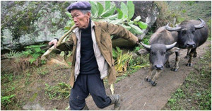 Dự báo thời tiết hôm nay 20/12: Không khí lạnh liên tục tăng cường, miền Bắc có nơi rét 0°C