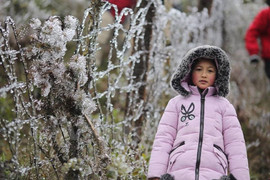 Dự báo thời tiết hôm nay ngày 31/1: Hà Nội rét 8°C, vùng núi cao có nơi dưới 3°C