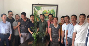 Vỡ mộng làm giàu, mất tiền tỷ buôn lan đột biến, có nên tiếp tục dốc vốn đầu tư?