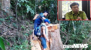 Cán bộ bị kỷ luật hàng loạt, 'sếp' kiểm lâm ở Huế vẫn được đề bạt thăng chức