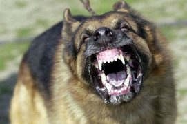 Có Boni-Smok, bỏ thuốc lá chỉ là chuyện nhỏ