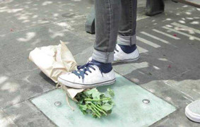 Lộ diện Hoa hậu đẹp nhất thế giới 2016