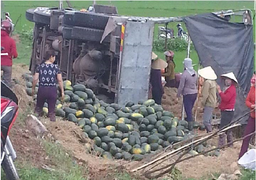 Xe tải mất lái trên quốc lộ, hơn 20 tấn dưa hấu đổ xuống ruộng