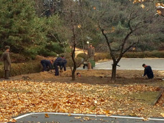 Triều Tiên tiếp tục tăng cường an ninh khu vực phi quân sự sau vụ binh sĩ vượt biên