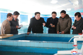 Chủ tịch Triều Tiên Kim Jong-un thăm trại nuôi cá da trơn mới xây dựng