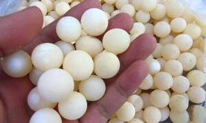 Thực hư tin đồn khiến dân Hà thành đổ xô mua trứng ba ba 'thần dược' trị bách bệnh