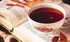 Áp dụng công thức 6 mẹo nhỏ để có một kỳ nghỉ lễ tuyệt vời