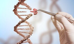 Chấn động: Lần đầu tiên các nhà khoa học loại được virus HIV ra khỏi động vật