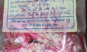 Đã tìm ra 'thủ phạm' khiến cá kho đổi màu đỏ ở Hà Tĩnh