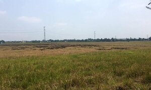 Những con số kinh hoàng về nợ nần trong giới đầu tư bất động sản