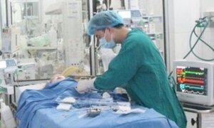 Hải Phòng: Bé trai 3 tuổi qua đời nghi do bị chó dại trong nhà cắn