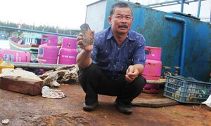 Tàu vỏ thép 67 hư hỏng: Bị đề nghị truy tố, Công ty Đại Nguyên Dương xin 'khắc phục'