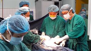 Mổ nội soi: Phương pháp mới đem lại hy vọng cho bệnh nhi thoát vị bẹn