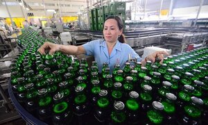 Sabeco thu hơn 75 tỷ đồng mỗi ngày từ bán bia