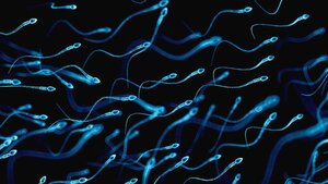 Cảnh báo: Tinh dịch đàn ông là 'ổ' virus gây bệnh