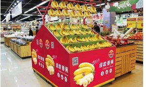 Chuối của bầu Đức chính thức lên kệ ở siêu thị lớn tại Trung Quốc