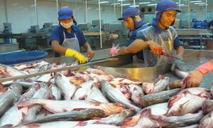 Cá tra 'quên' thị trường nội địa?