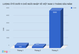 Ôtô về Việt Nam tăng vọt, VAMA vẫn thiết tha xin ‘cởi trói’