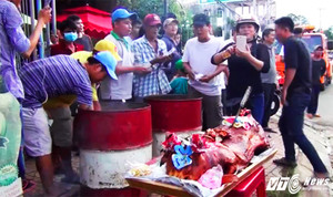 Tài xế mang heo quay đến thắp nhang cúng trạm BOT Biên Hoà