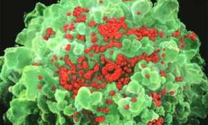 Vắc xin chống HIV chưa từng có trong lịch sử sắp ra đời