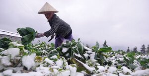 Miền Bắc rét đậm rét hại
