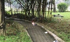 Truy bắt nghi phạm sát hại cô gái trong vườn hoa ở Hà Nội