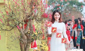 Ảnh: Thiếu nữ Hà Thành xúng xính áo dài khoe sắc bên hoa đào dịp Tết Kỷ Hợi 2019
