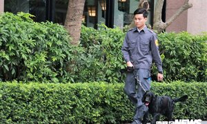 Chó nghiệp vụ rà mìn quanh khách sạn đoàn Triều Tiên dừng chân