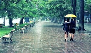 Ảnh hưởng gió mùa đông bắc, Hà Nội có mưa và sương mù