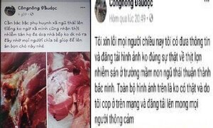 Triệu tập kẻ tung tin sai sự thật thịt lợn nhiễm sán ở trường mầm non Bắc Ninh