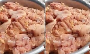 Phát hiện thịt gà có mùi lạ tại trường Tiểu học ở Hà Nội: Nhà cung cấp nói gì?