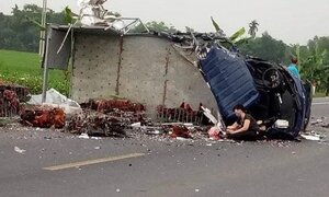 Ô tô chở gà đấu đầu xe tải, tài xế chết tại chỗ