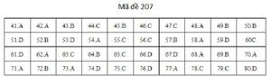 Đáp án mã đề 207 môn Hóa học kỳ thi THPT Quốc gia 2019