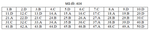 Đáp án mã đề 404 môn tiếng Anh thi THPT Quốc gia 2019 của Bộ GD&ĐT