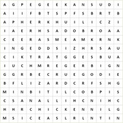 Dạy bé tiểu học 15 từ vựng về con vật bằng tiếng Anh qua trò ô chữ