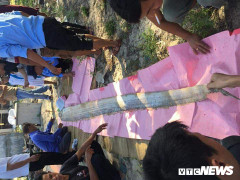 Cá ngài chết trôi vào bờ, ngư dân Huế chôn cất trang trọng