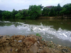 Bọt trắng bất thường trải dài hàng km trên sông An Cựu ở Huế