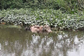 Thi thể người đàn ông nổi trên hồ nước ở Quảng Nam