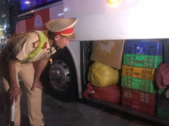 Hàng trăm con rắn hoang dã 'vi vu' trên xe khách